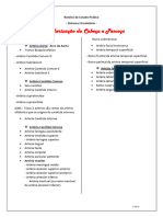 Roteiro de Aula Prática - Vascularização Cabeça e Pescoço