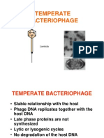 Temperate Bacteriophage