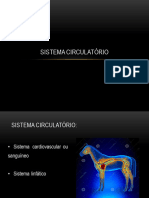 Sistema Cardiovascular