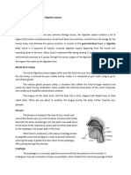 Structure and Function of The Digestive System