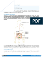 ClinChem Digestion and Absorption of Lipids