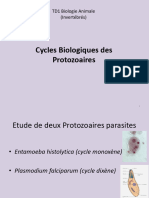 TD BA Invertébrés Sefrioui PDF