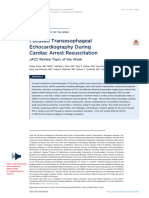 2020 Focused Transesophageal Echocardiography During Cardiac Arrest Resuscitation