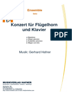 Konzert Für Flügelhorn Und Blasorchester