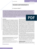 Drosophila: Modeling Tumor Invasion and Metastasis in