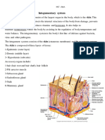 Anatomy Lec.3