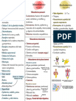 Esquema de Las Alas Germin