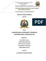 Informe Derechos de Pueblos Indigenas