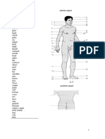 Body Parts Introduction-1