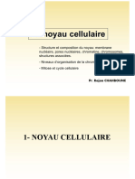 9-Le Noyau Et Le Cycle Cellulaire