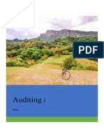 Auditing and Assurance Principles