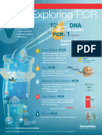 Thermo Scientific PCR Infographic