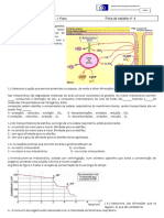 6 - Fermentação e Respiração e Fotossintese