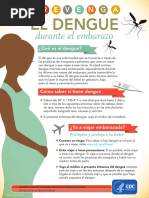 15 261427-b Seda 508 Update Spanish Prevent Dengue During Pregnancy508