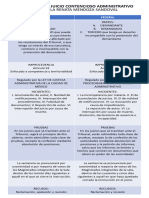 Diferencias Juicio A Nivel Local y Federal