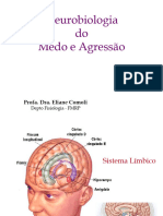 Neurobiologia Do Medo e Agressão - 2019