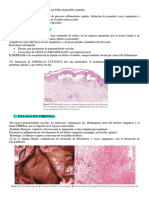 Patrones Morfológicos de La Inflamación Aguda