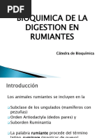 Digestion de Rumiantes 