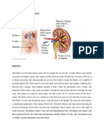 Anatomy and Physiology