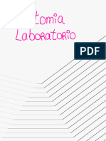 Lab Anatomía