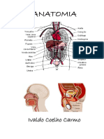 1 - Orga Corpo Hum Sist Nervoso Endocrino e Tegum - 231016 - 190116