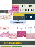 Tejido Epitelial (Clase Magistral)