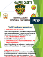 Test Vocacional Psicologico PNP