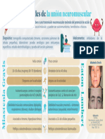 Enfermedades de La Unión Neuromuscular