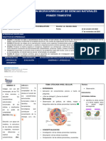 9no - Ccnn-Planificaciòn Disiplinar-1er - Trimestre (4 Semanas)