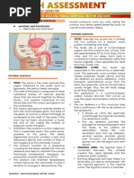 Assessing The Male and Female Genitalia Rectum and Anus