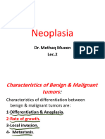 Neoplasia: Dr. Methaq Mueen Lec.2