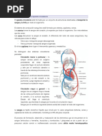 ANATO Tema 6. Introducción Al Sistema Circulatorio