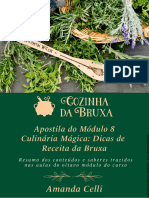 Apostila Módulo 08 - Curso Cozinha Da Bruxa - 2022