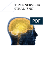 Le Systeme Nerveux Central (SNC)