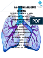 Plan de Cuidados - Neumonia