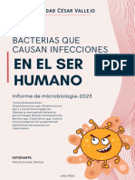 Bacterias Que Causan Infecciones en El Ser Humano