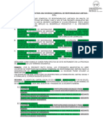 Modelo de Constitución para Una Sociedad Comercial de Responsabilidad Limitada - S.R.L