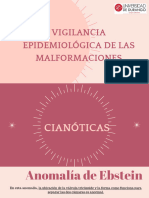 Vigilancia Epidemiológica de Las Malformaciones