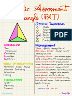 Pediatric Assessment Triangle (PAT)