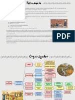 Resumen y Organizador Feudalismo