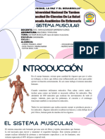 Sistema Musculares. GRUPO 4