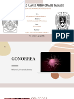 Gonorrea Enfermedades Infecciosas