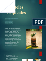 Presentación Bebidas Tropicales