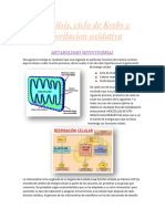 Glucolisis