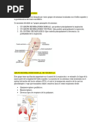 Centro Respiratorio - Fisiologia