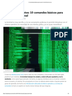 10 Comandos Básicos para Usar en La Terminal de Linux