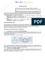 Material de Replicacion, Transcripcion y Traduccion