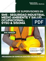 Programa Supervisores Sms - Noviembre.v8