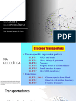 Glicoólise e Gliconeogenese e Glicogenio