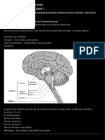 Tutoria 2 - Sistema Nervoso